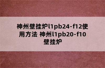 神州壁挂炉l1pb24-f12使用方法 神州l1pb20-f10壁挂炉